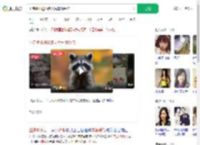 小浣熊出逃50多天后车祸受伤_360搜索