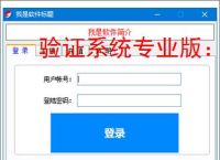 验证系统专业版：企业级安全认证解决方案