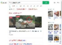 在331国道偶遇东北虎遛弯_360搜索