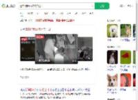 遗弃3狗崽放宠物店门口_360搜索