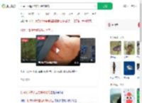 村民干活遭大型猫科动物袭击_360搜索