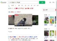 上山捡菌被迷路小熊一路跟随_360搜索