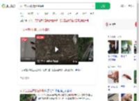 女子在公园附近放生蟑螂_360搜索