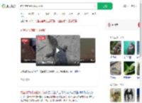 钓鱼佬钓到野生扬子鳄_360搜索