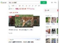 小猫误入虎园被捕食_360搜索