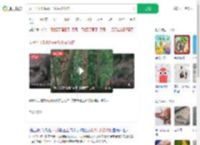 女子不听劝喂猴子花生被咬伤_360搜索