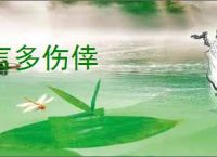 王者荣耀露娜命运加冕皮肤获取方法-王者荣耀如何获得露娜命运加冕皮肤 - 91手游网