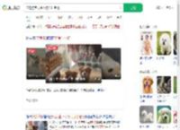 流浪狗乞食生小狗托付老板_360搜索