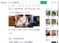 穿山甲误入闹市店主报警_360搜索