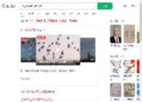 8万羽和平鸽飞向天空_360搜索