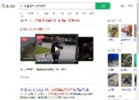 扬子鳄追击黑鱼被意外钓起_360搜索