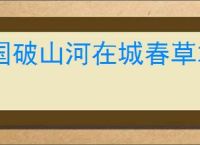 《宝可梦》NS2新作公开！化身百变怪种田建造家园 _ 游民星空 GamerSky.com