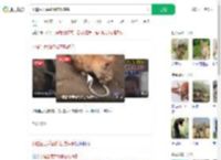 小猫生吞活蛇像在吃辣条_360搜索