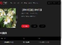 千千音乐