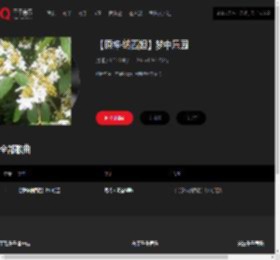 千千音乐