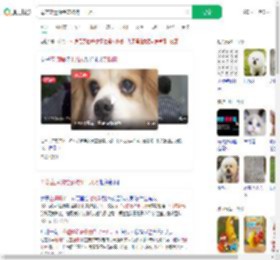 母亲立遗嘱给宠物狗十几万_360搜索