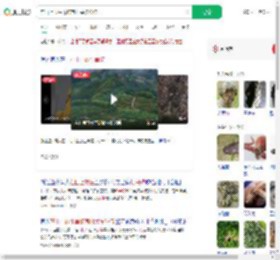 在山上放生毒蛇有村民被咬伤_360搜索