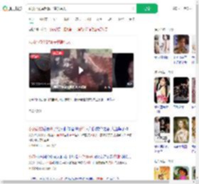 获救小象举起鼻子感谢恩人_360搜索