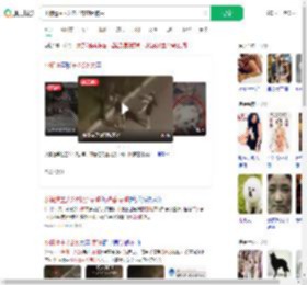 小狗遭主人2次扔弃哀嚎被丢_360搜索