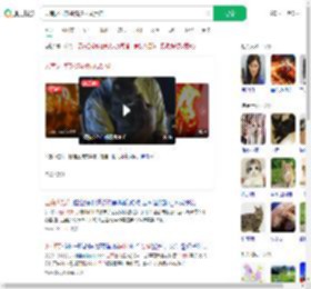 云南火把节橘猫被抹成黑猫_360搜索