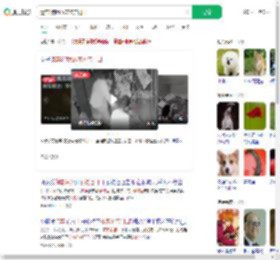 遗弃3狗崽放宠物店门口_360搜索