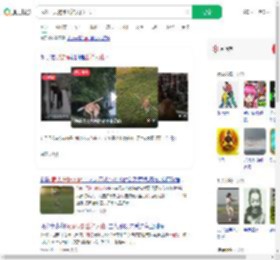 武汉一只狗练出神入化棍法_360搜索