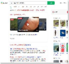 村民干活遭大型猫科动物袭击_360搜索