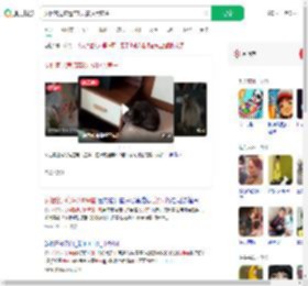 女租客退房遗弃8只猫拉黑房主_360搜索