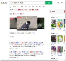 上山捡菌被迷路小熊一路跟随_360搜索