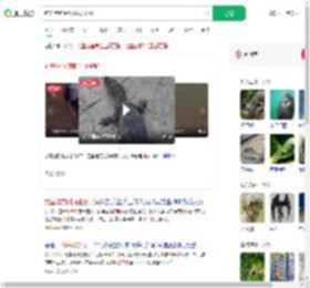 钓鱼佬钓到野生扬子鳄_360搜索