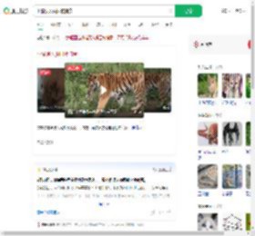 小猫误入虎园被捕食_360搜索