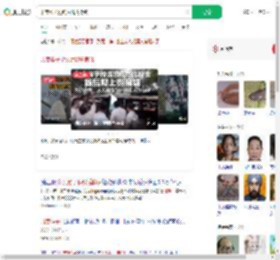 印度猴子抢钱后爬树撒钱_360搜索
