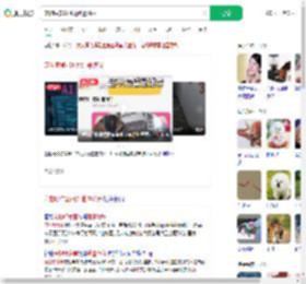 宠物喂食器可能泄露隐私_360搜索
