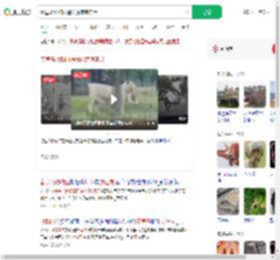 秦皇岛动物园遇猛虎惊魂实录_360搜索