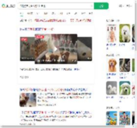 流浪狗乞食生小狗托付老板_360搜索