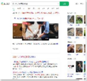 穿山甲误入闹市店主报警_360搜索