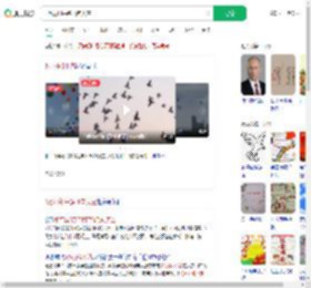 8万羽和平鸽飞向天空_360搜索