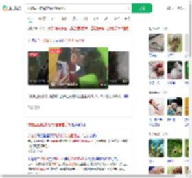动物园回应游客给猩猩看手机_360搜索