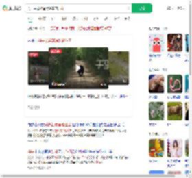 男子采蘑菇遇黑熊车前狂奔_360搜索