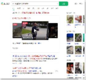 扬子鳄追击黑鱼被意外钓起_360搜索