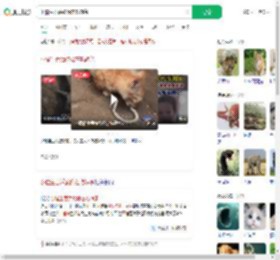 小猫生吞活蛇像在吃辣条_360搜索