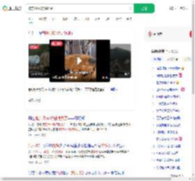 被东风5C烧饼馋到了_360搜索