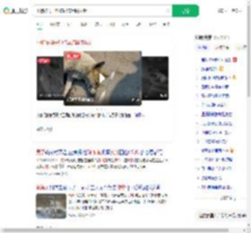小狗被男子射伤忍痛用嘴拔针_360搜索